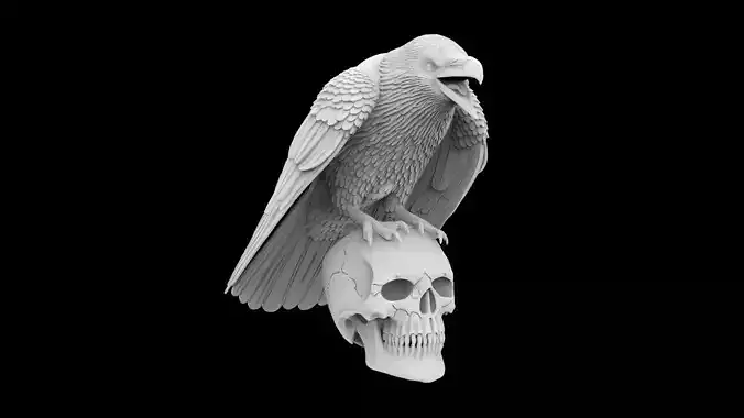 Perched Raven Cawing on Skull 3D print model