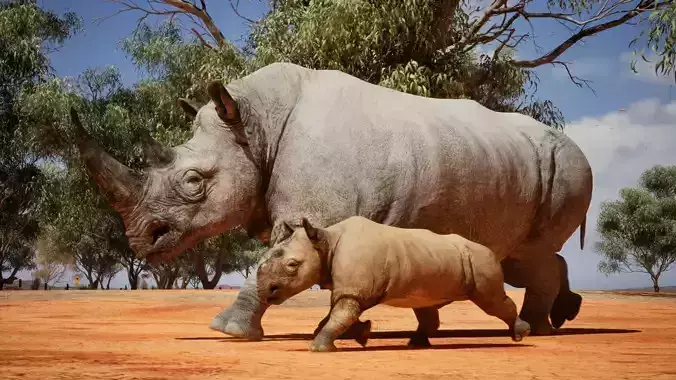African Rhinoceros Low-poly 3D model