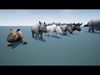 African Rhinoceros Low-poly 3D model_2