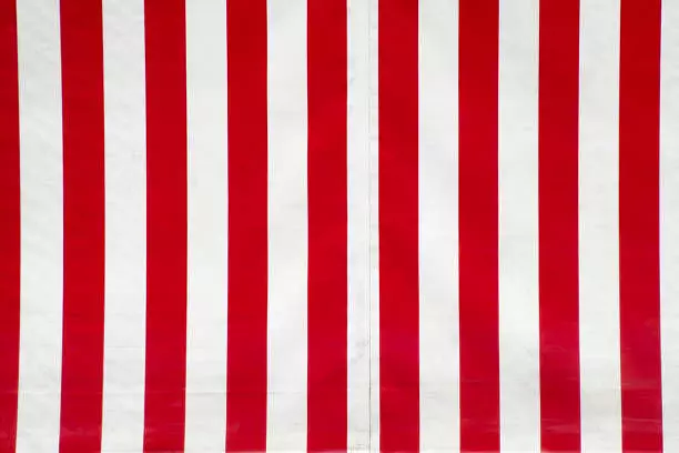 Cozy House Environment  Stylized Low Poly Scene Low-poly 3D model_19