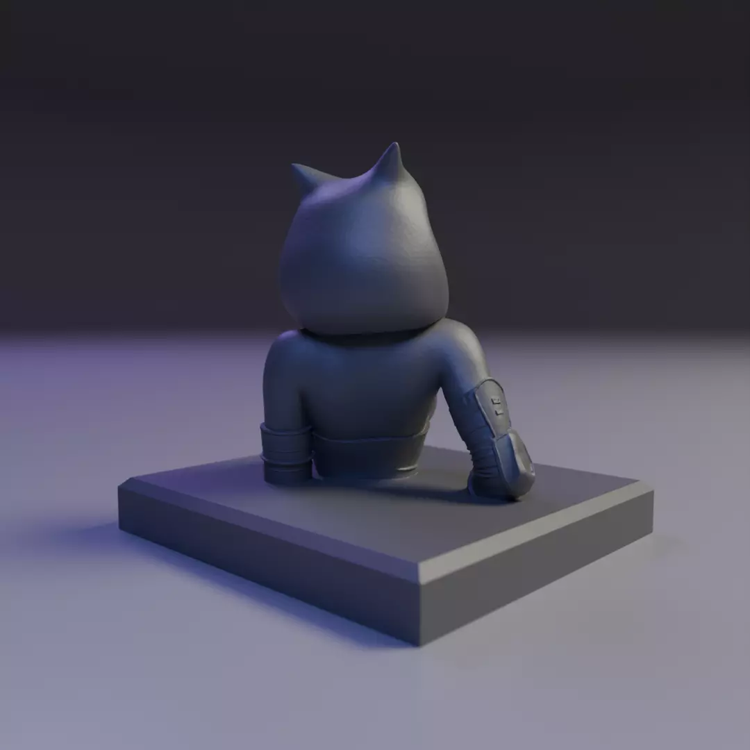 bust of Ahsoka Tano 3D print model_13