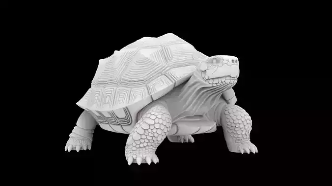 Tortoise 3D Print Model Turtle Sculpture