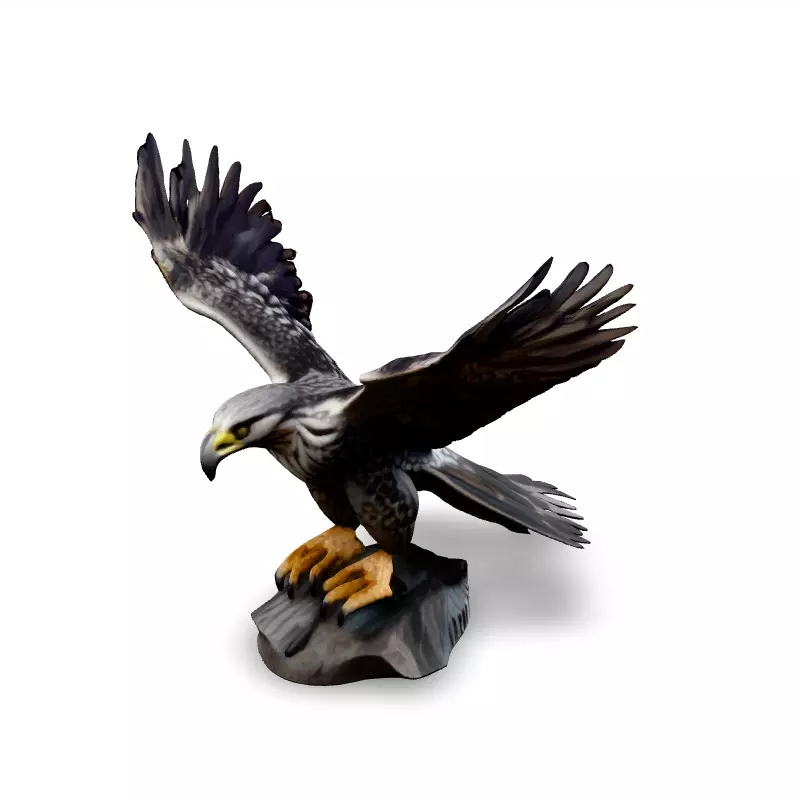 Majestic Falcon 3D Model Low-poly 3D model_1