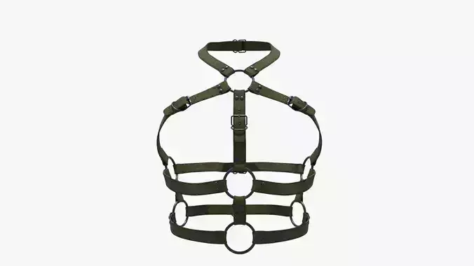 Punk Harness 05