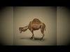 Animated Camel with Hair and Fur  Low-poly 3D model_1