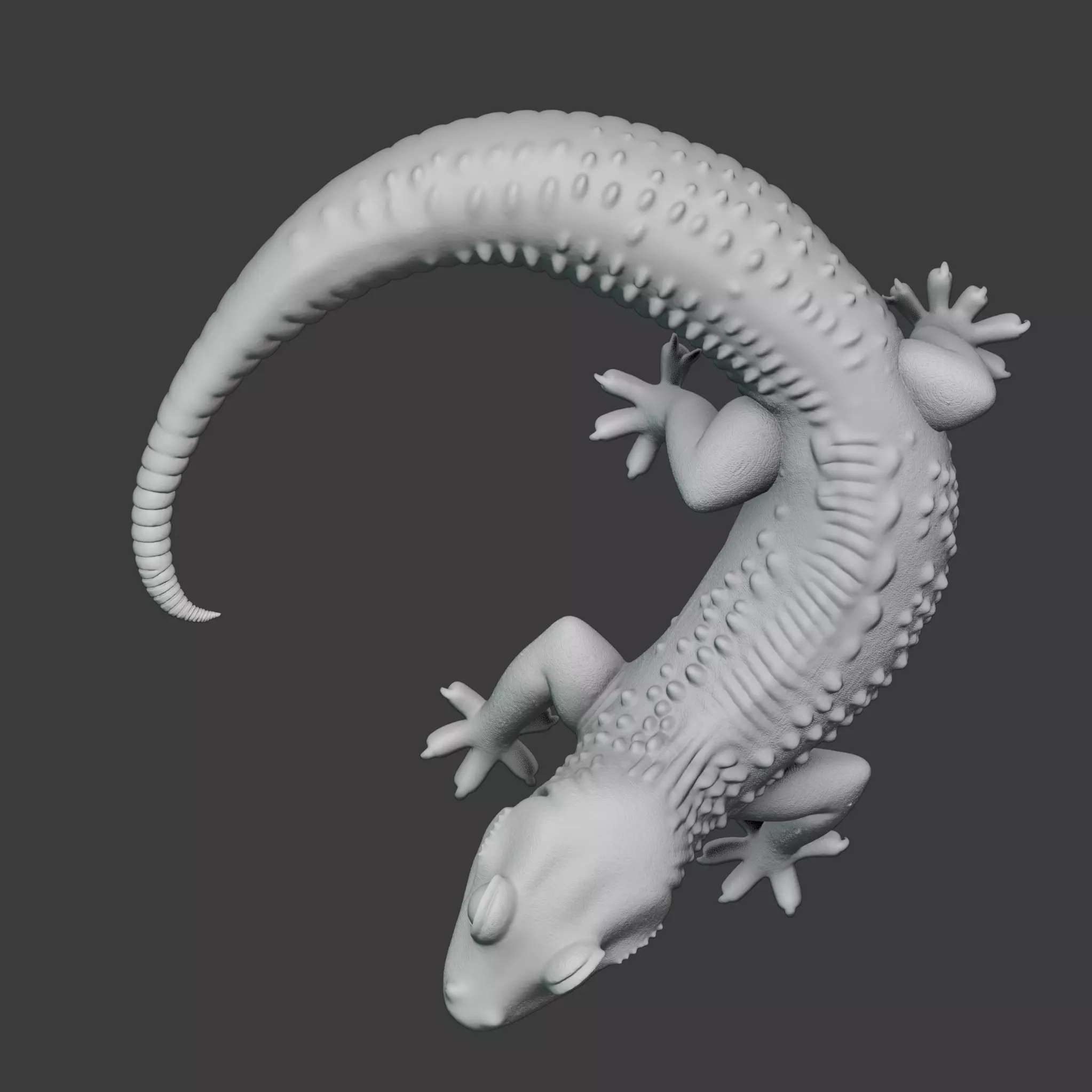 Leopard Gecko 3D print model_2