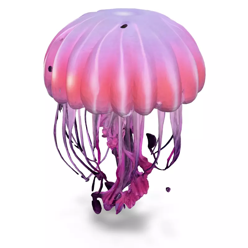Realistic Animated Pink Jellyfish 3D Model Low-poly 3D model_4