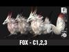 Fox-C2 3D model_1