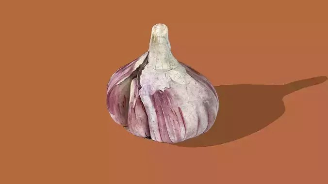 Garlic bulb Low-poly 3D model 3