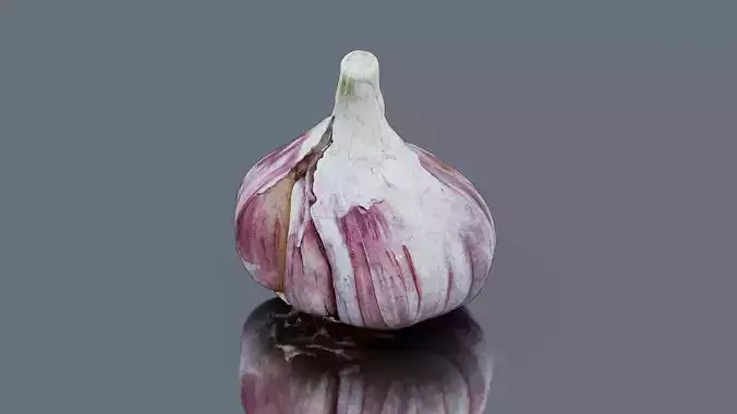 Garlic bulb