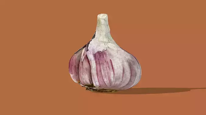 Garlic bulb Low-poly 3D model 5