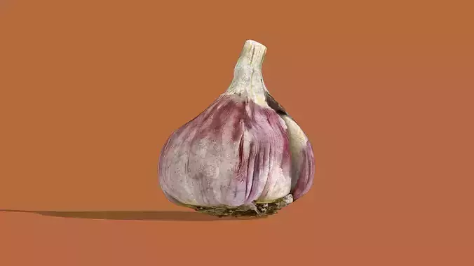 Garlic bulb Low-poly 3D model 6