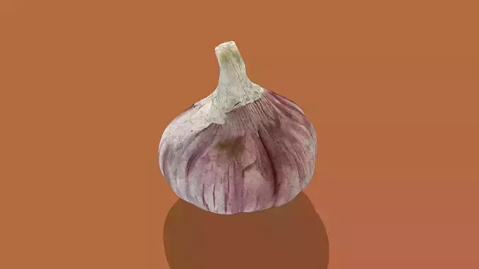 Garlic bulb Low-poly 3D model 4