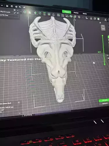 Alien Skull Trophy - Sci-Fi Diorama 3D Model