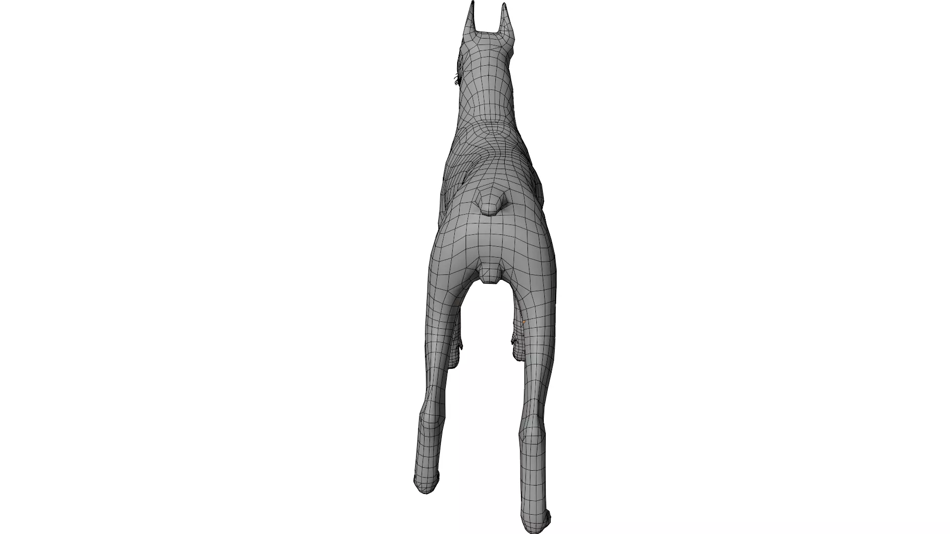 Doberman 3D model_12