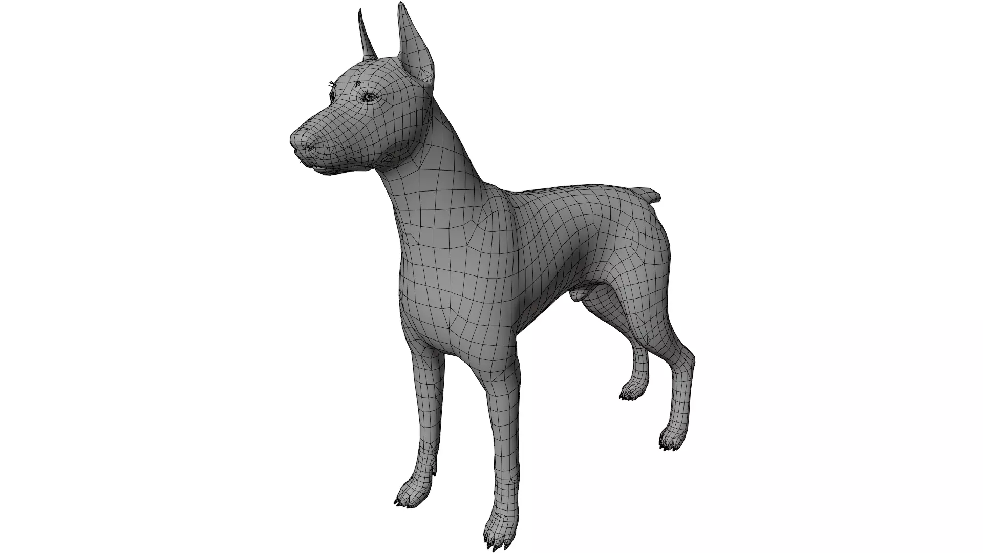Doberman 3D model_9