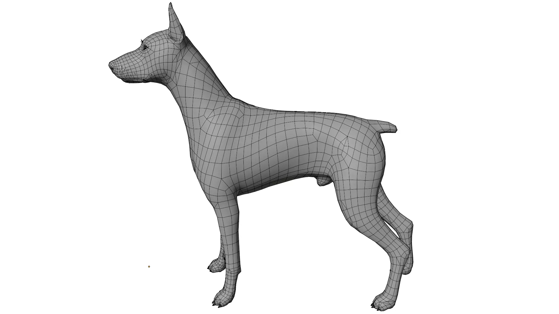 Doberman 3D model_10