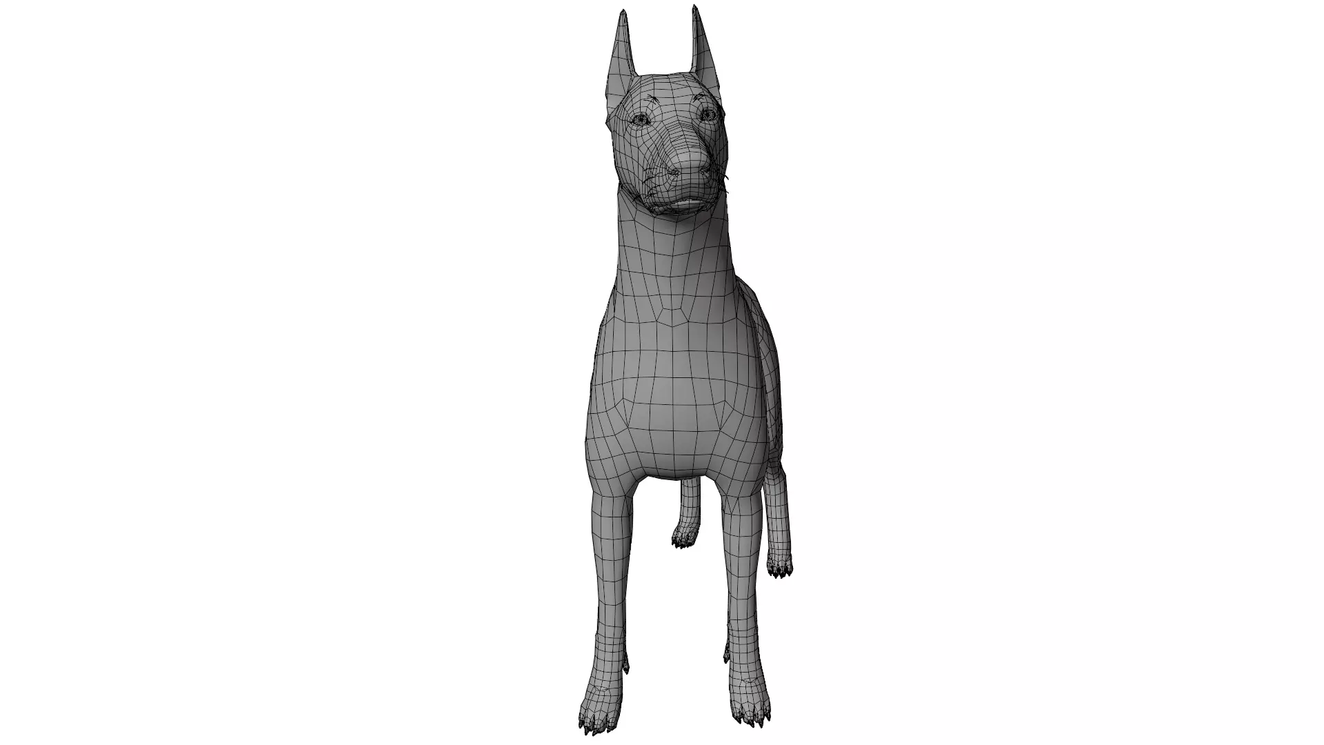 Doberman 3D model_16