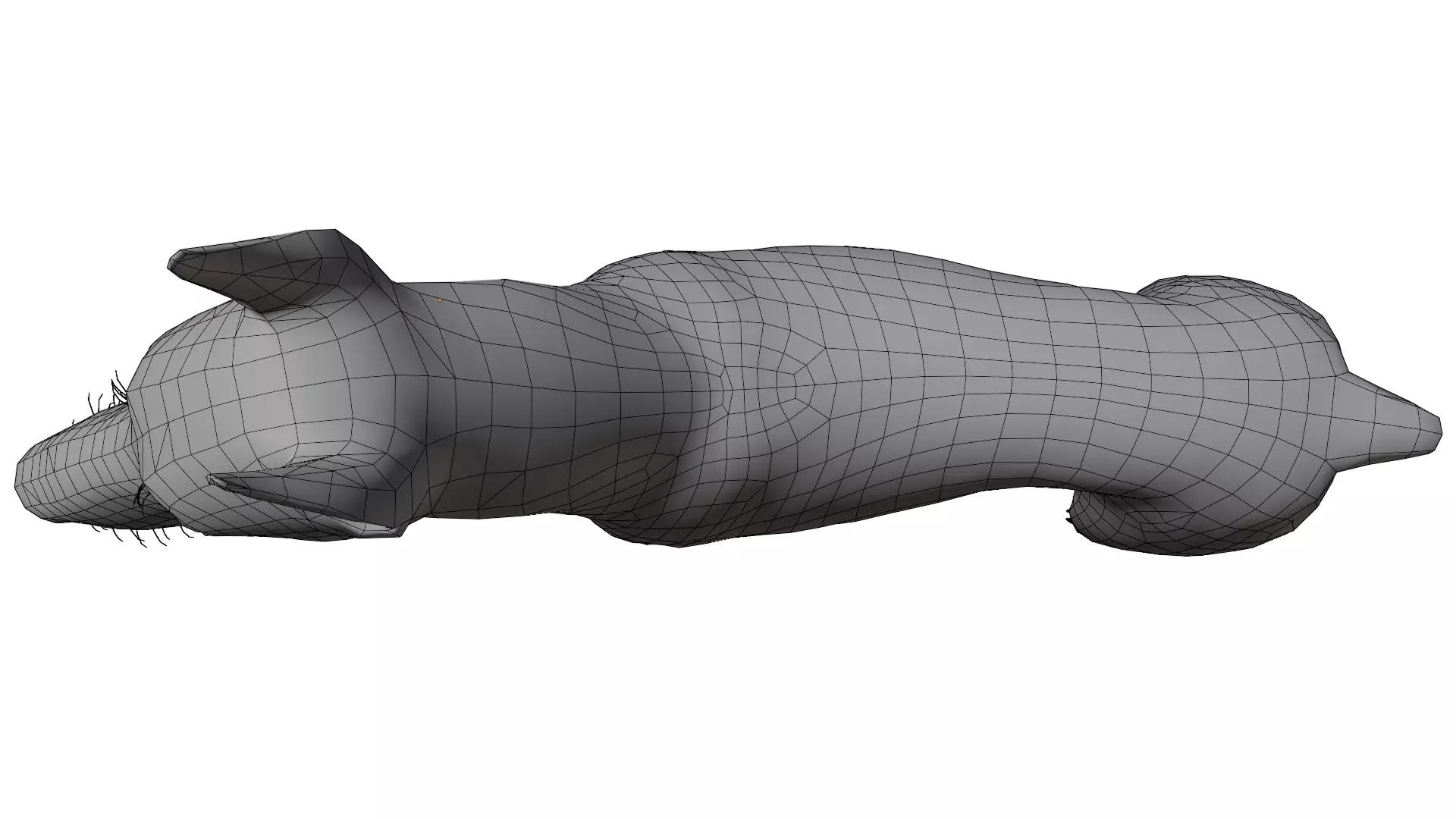 Doberman 3D model_17