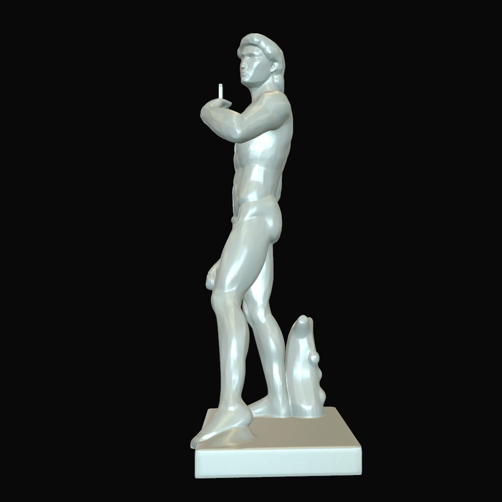 David of Michelangelo with a sock Free 3D print model_5