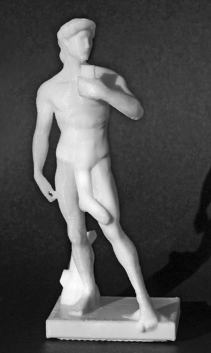 David of Michelangelo with a sock Free 3D print model_1
