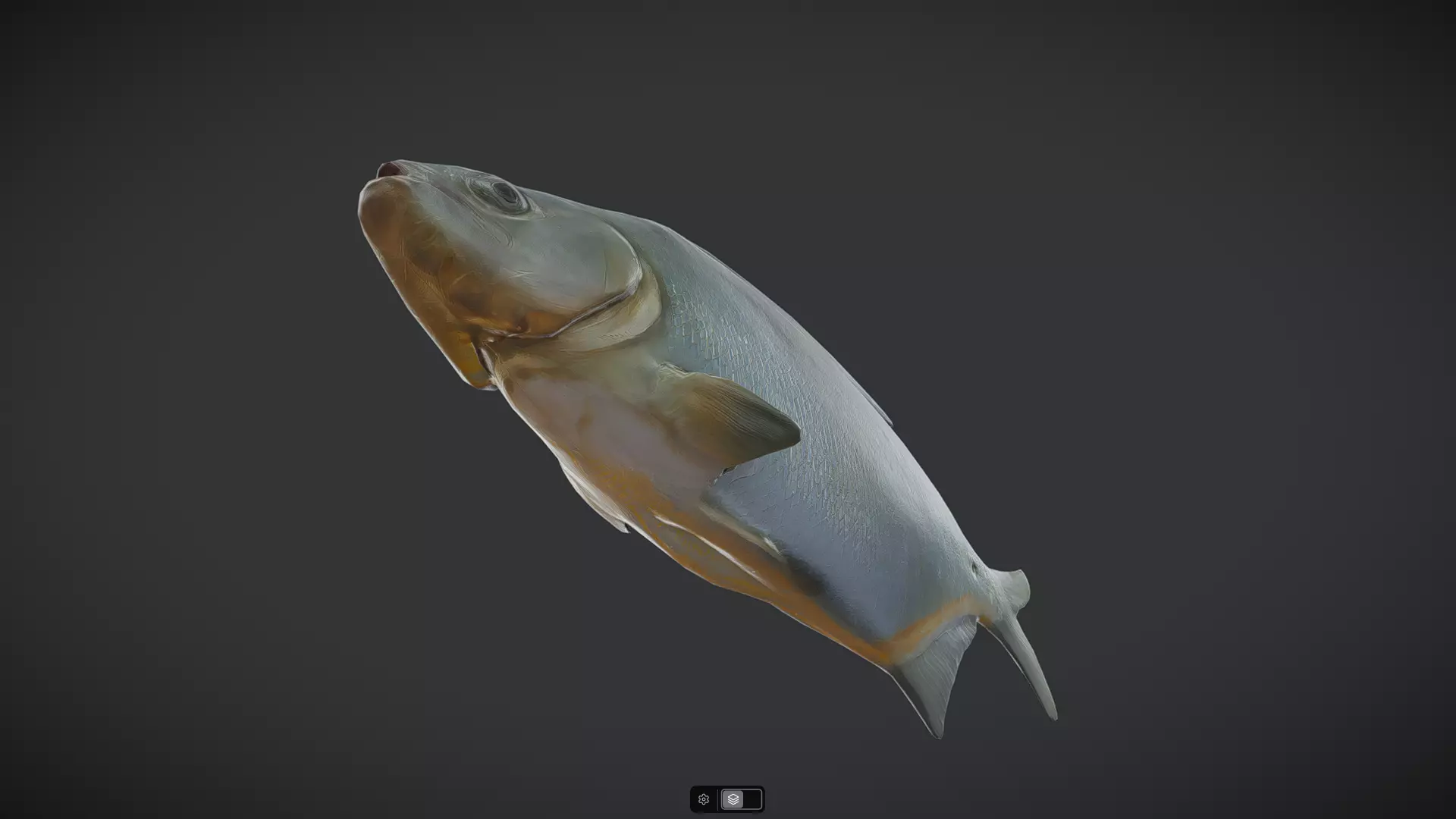 Dried Fish Low-poly 3D model_3