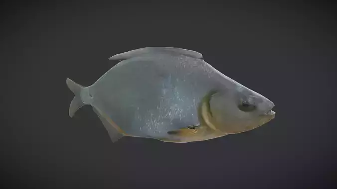 Dried Fish Low-poly 3D model