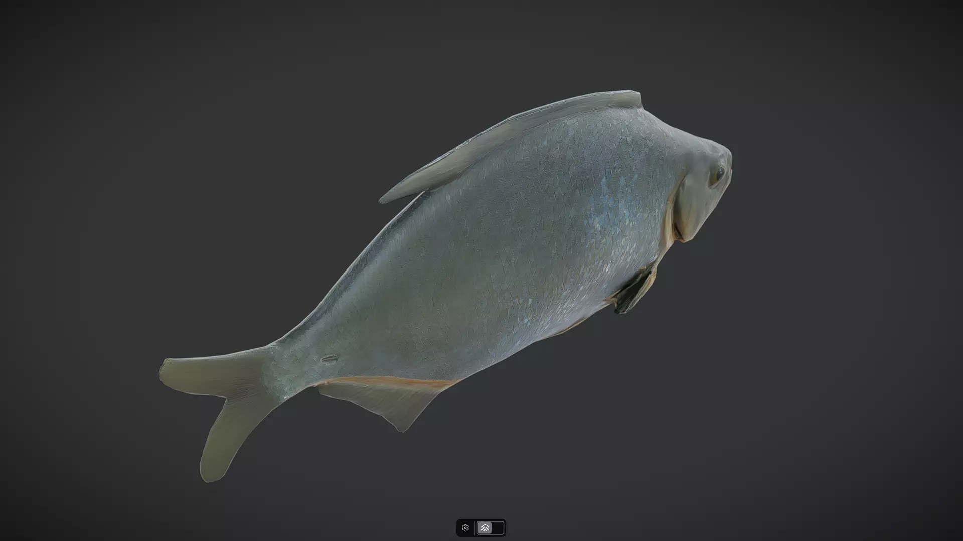 Dried Fish Low-poly 3D model_5