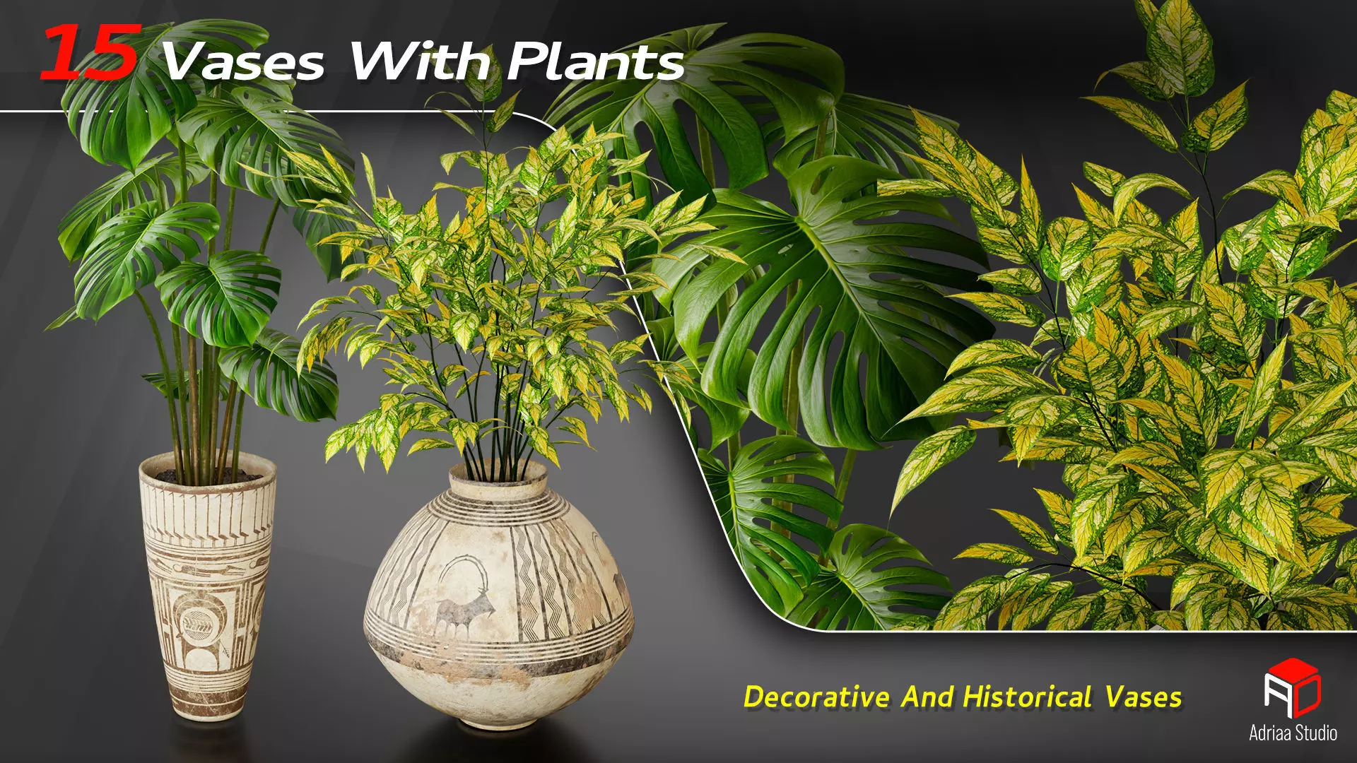15 Decorative Vase With Plants 3D model_2