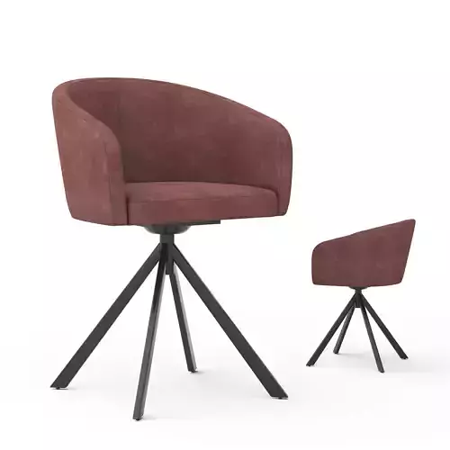 Ayoel Chair