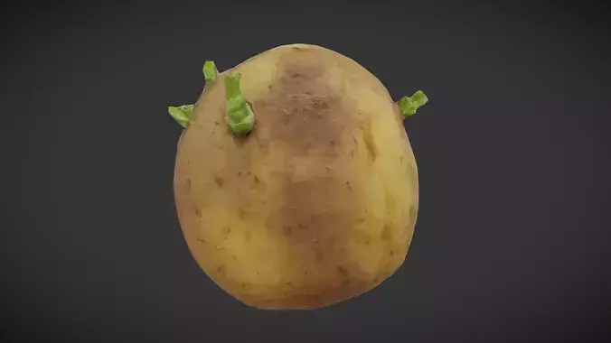 Potato Sprouted