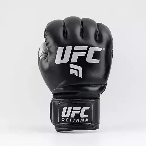 UFC Fight Glove