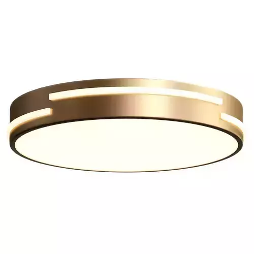  Round LED Flush Mount Gold Ceiling Light