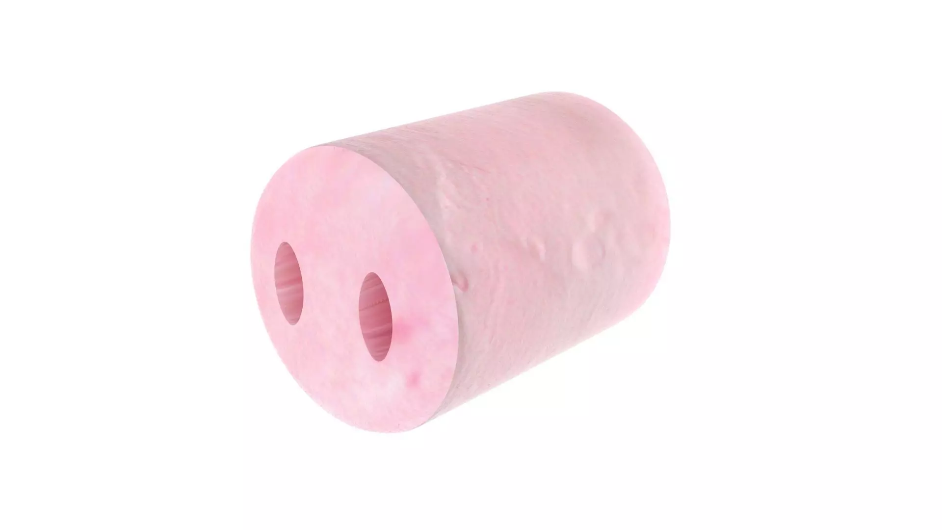 Marshmallow Pig Nose 3D model_10
