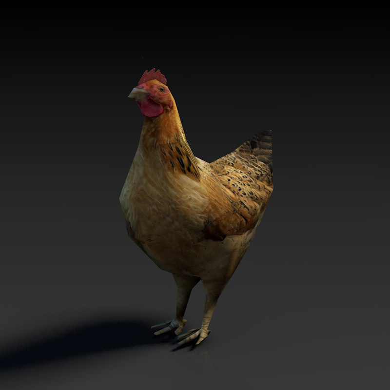 Low Poly Hen rooster Low-poly 3D model_1