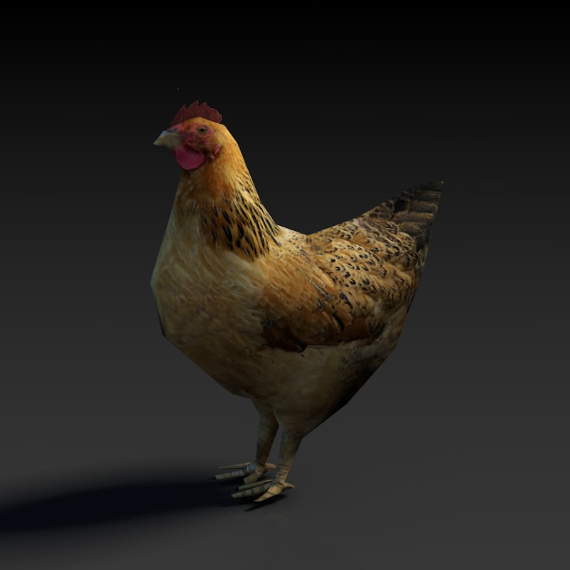Low Poly Hen rooster Low-poly 3D model_3