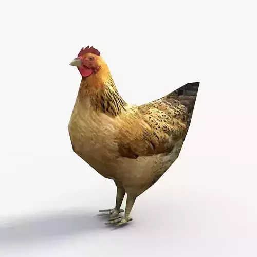Low Poly Hen rooster