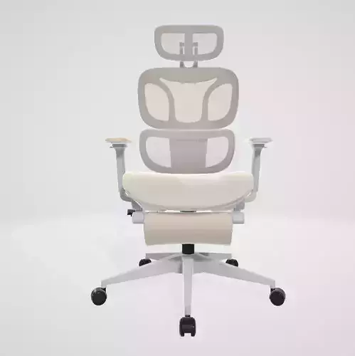 Ergonomic Chair 9S4
