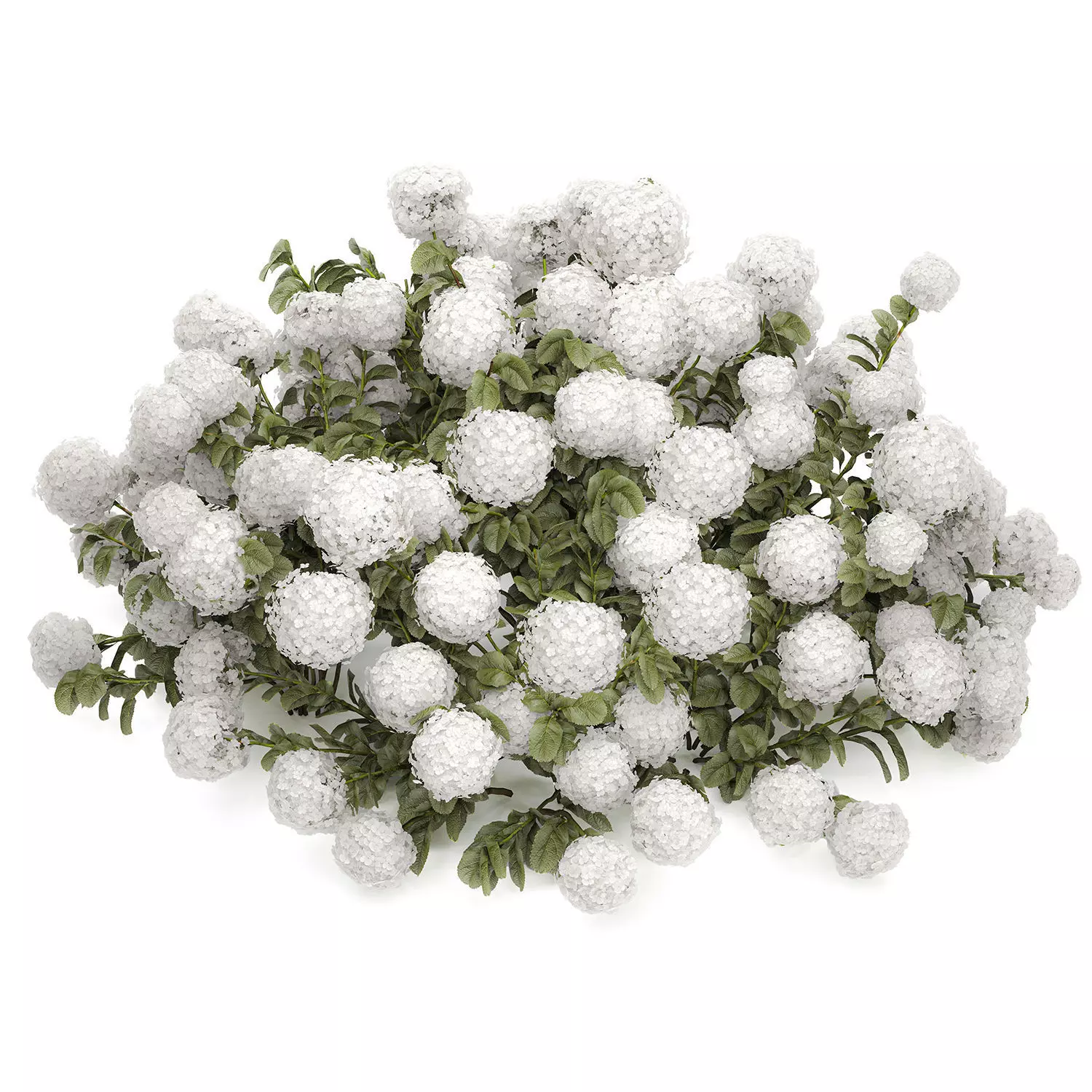 Bush blooming white hydrangea for the garden 1485 3D model_10
