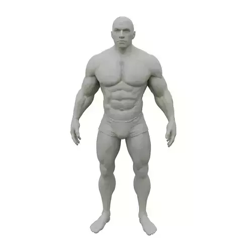 Male Superhero Anatomy STL  3D Printable Figure Base 3D print model