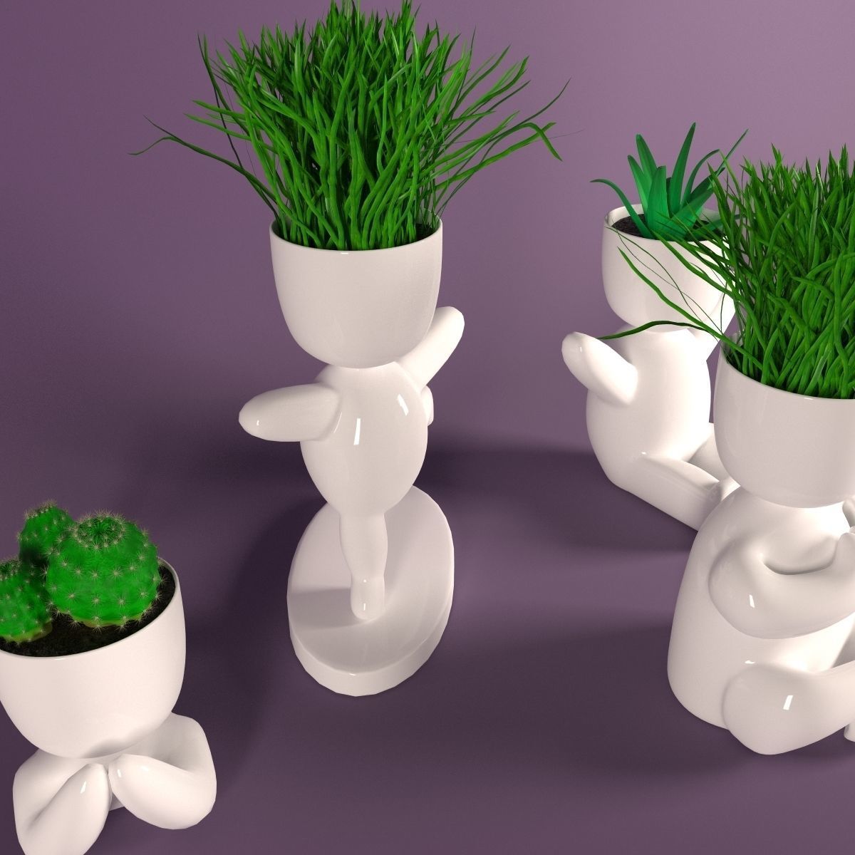 Plants in decorative pots 3D model_3