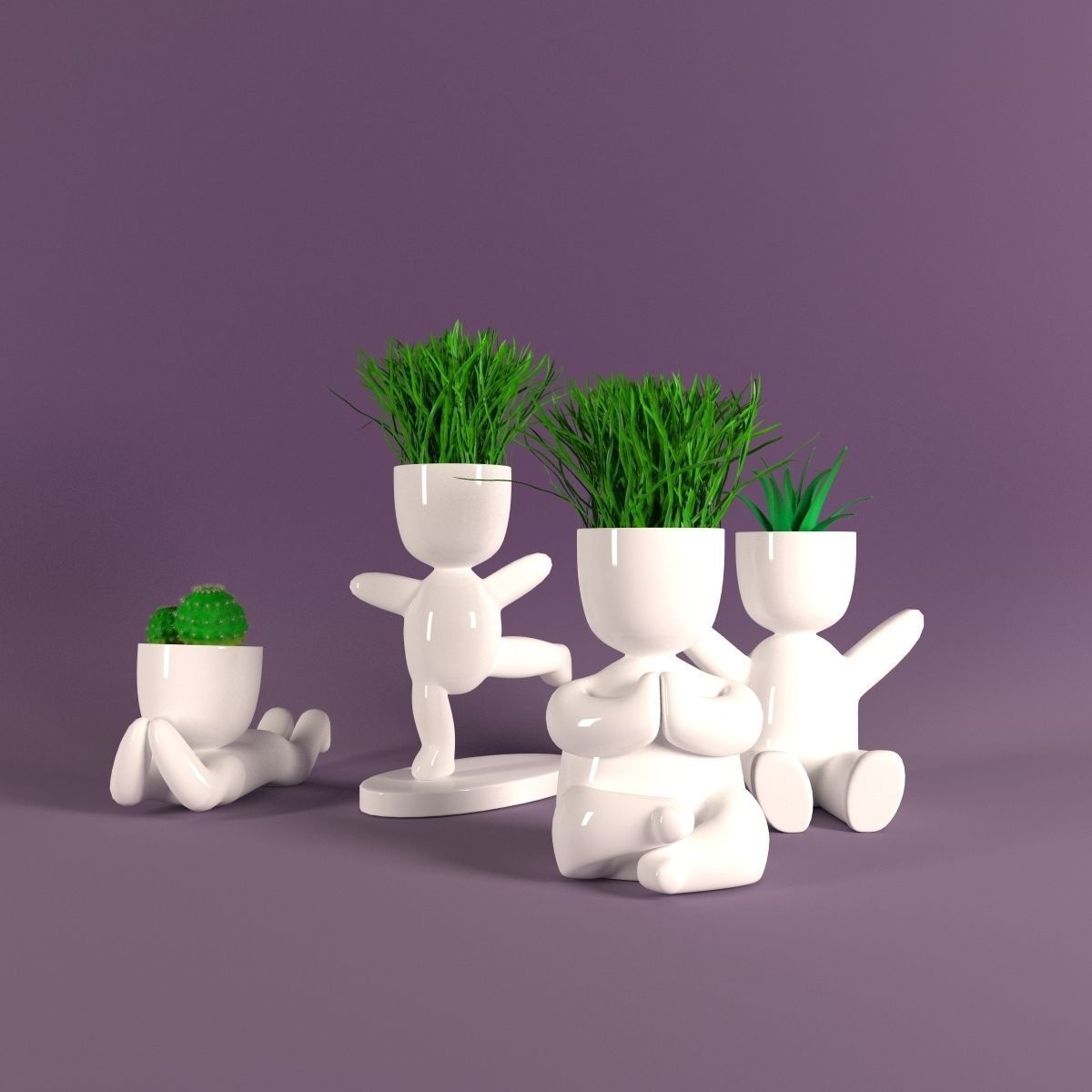Plants in decorative pots 3D model_1