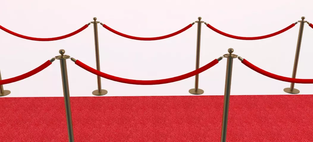 Red Carpet 3D model_4