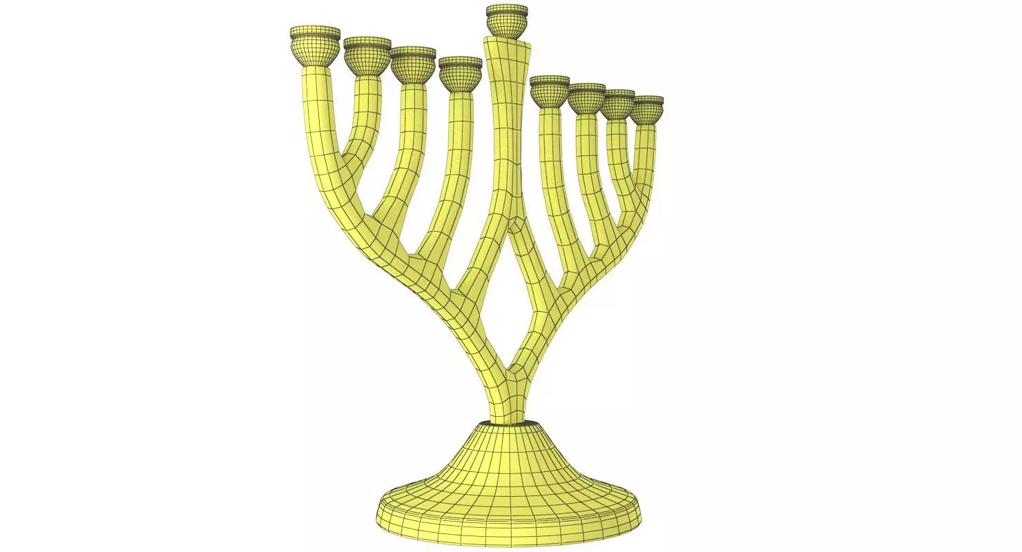 Menorah Collection _24