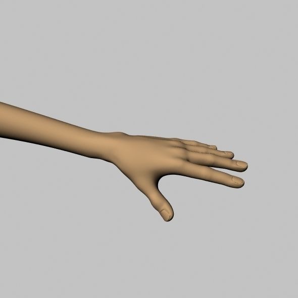 Cartoon Character 3D model_1