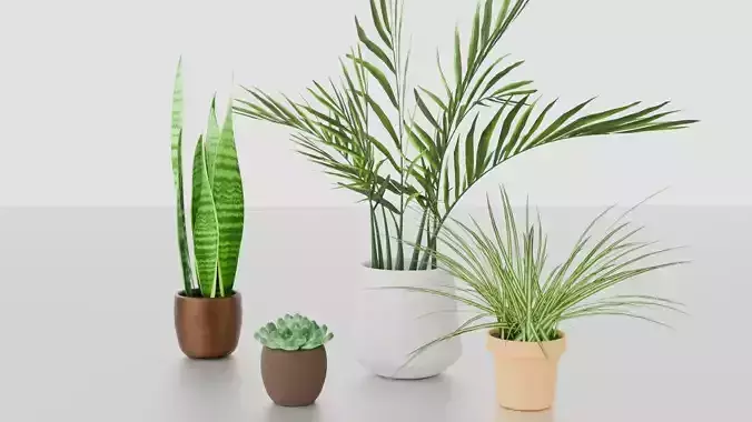 Indoor plants for decoration Low-poly 3D model