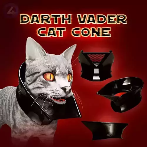 DARTH VADER CAT CONE 3D print model