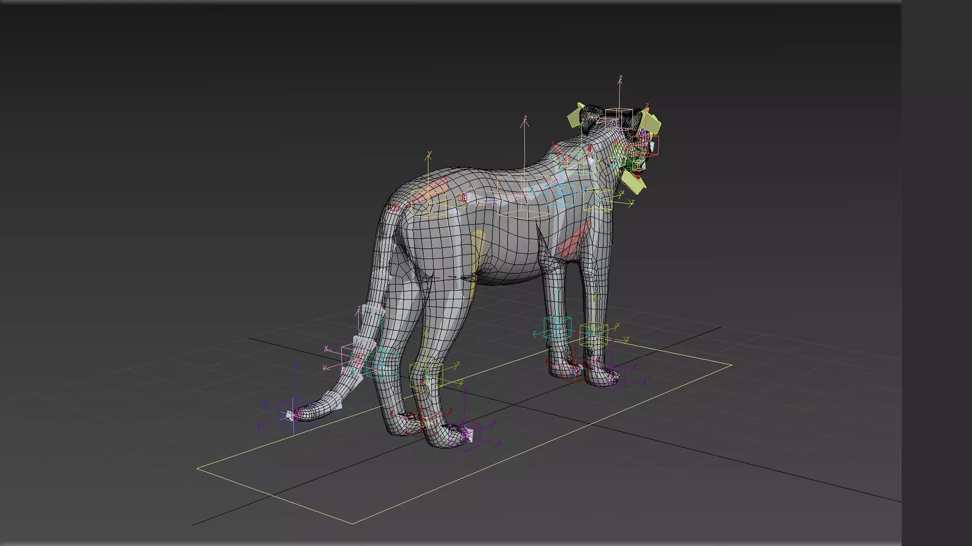 Most Real Cheetah - 8k - 3d animated 3D model_18