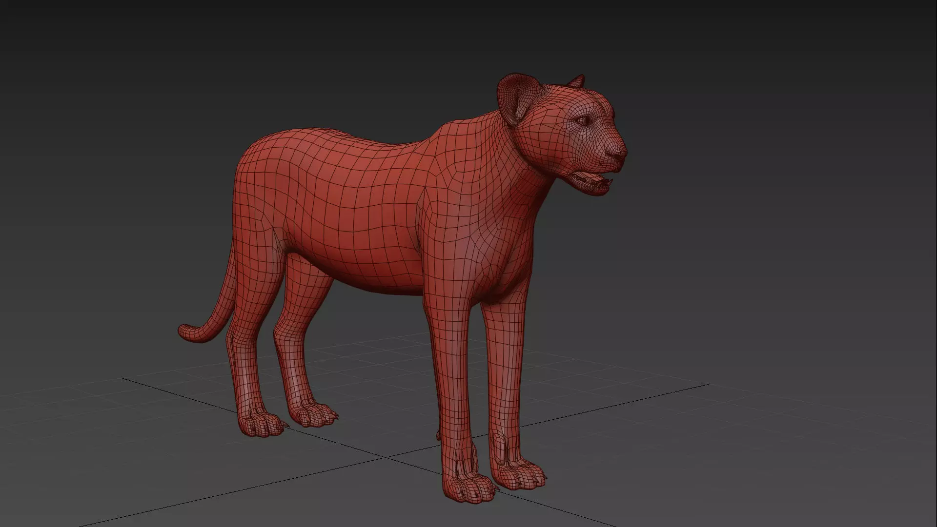 Most Real Cheetah - 8k - 3d animated 3D model_16