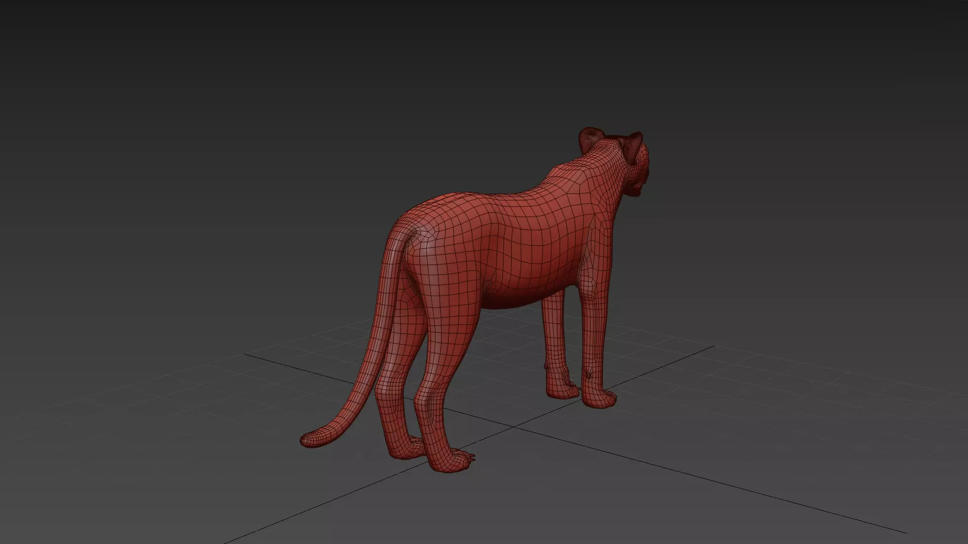 Most Real Cheetah - 8k - 3d animated 3D model_17